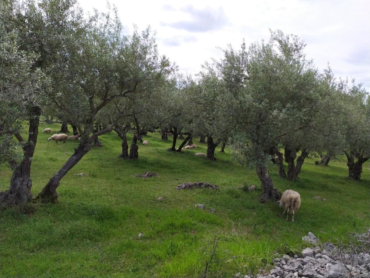 Hotel Prima Insula Glamping Brusici Exterior foto